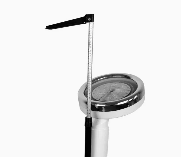 Health Scale Health Scale